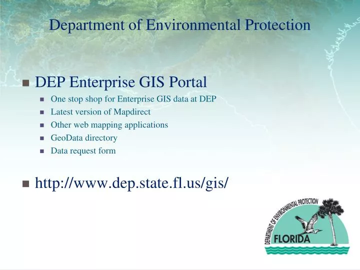 department of environmental protection