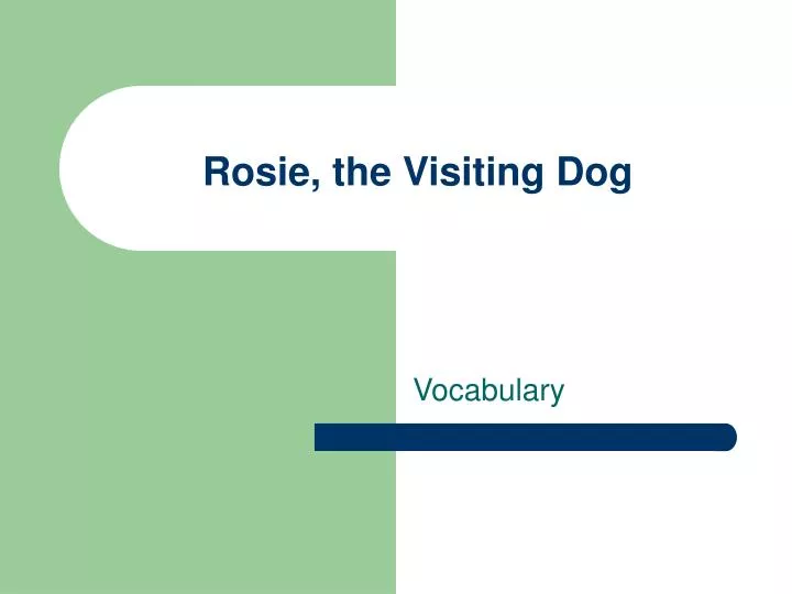 rosie the visiting dog
