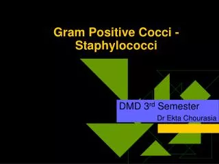 Gram Positive Cocci - Staphylococci