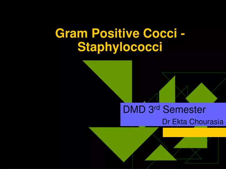 gram positive cocci staphylococci