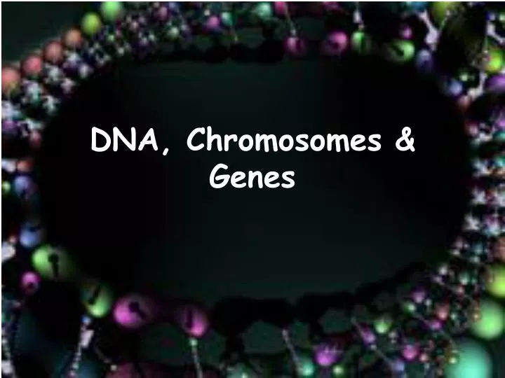 dna chromosomes genes