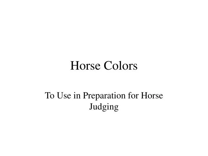 horse colors