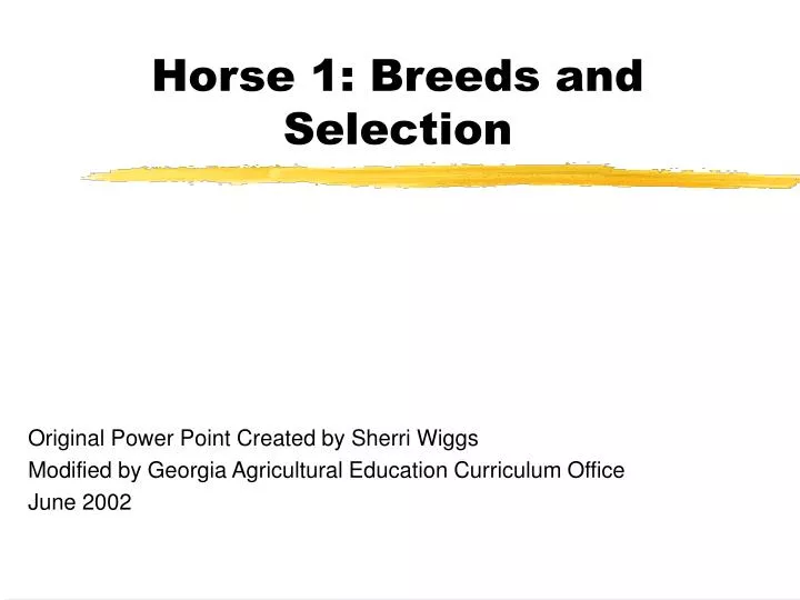 horse 1 breeds and selection
