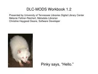 DLC-MODS Workbook 1.2
