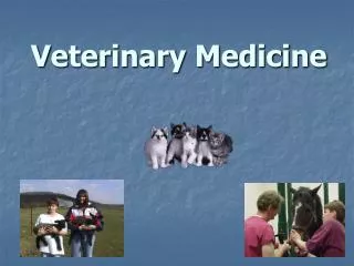 Veterinary Medicine