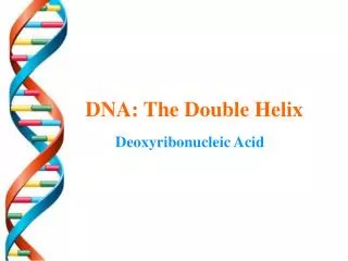 DNA: The Double Helix