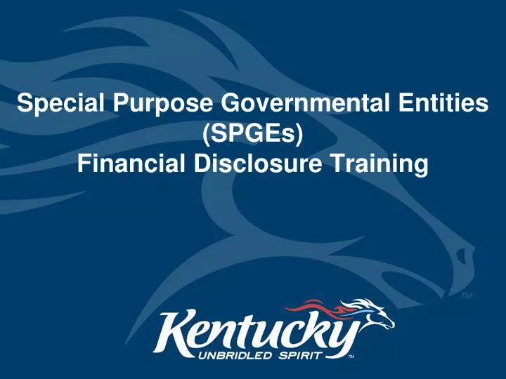 special purpose governmental entities spges financial disclosure training