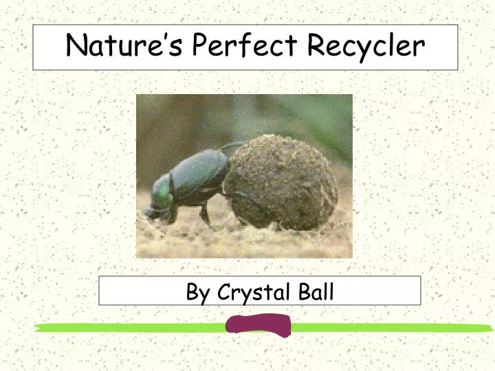 nature s perfect recycler