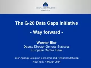 The G-20 Data Gaps Initiative - Way forward -