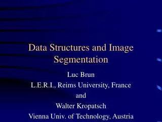 Data Structures and Image Segmentation