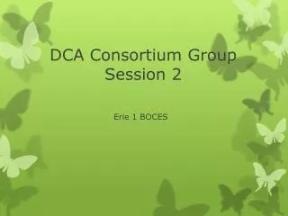 DCA Consortium Group Session 2