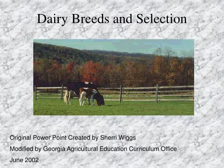 dairy breeds and selection