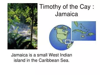 Timothy of the Cay : Jamaica