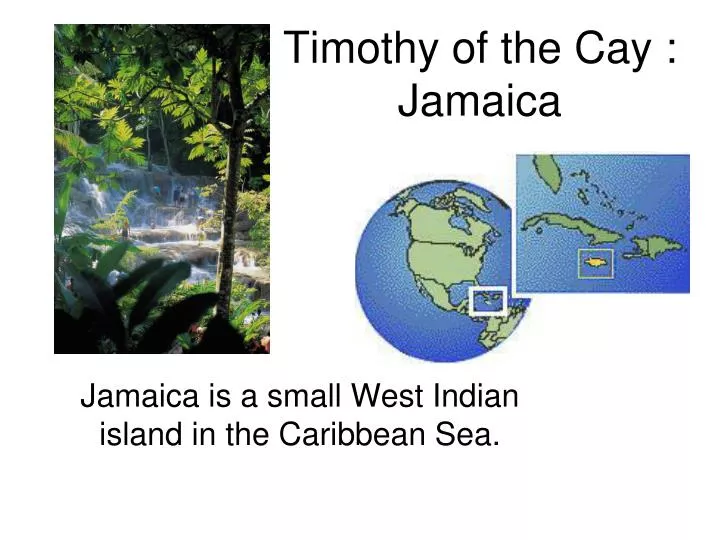 timothy of the cay jamaica