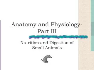 Anatomy and Physiology- Part III
