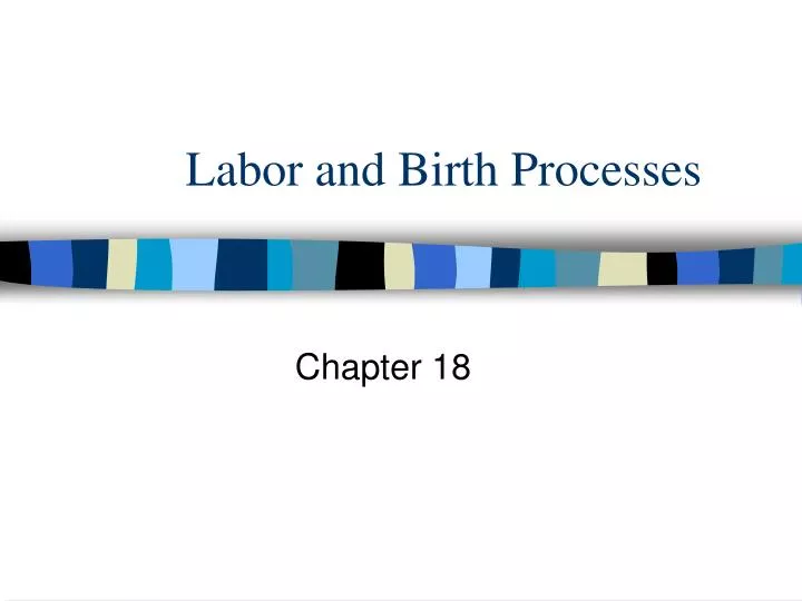 labor and birth processes