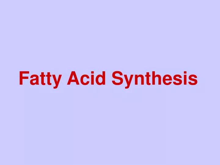 fatty acid synthesis