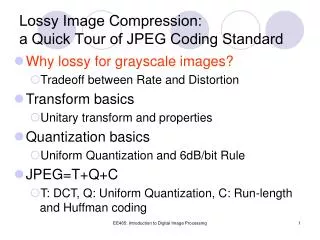 Lossy Image Compression: a Quick Tour of JPEG Coding Standard