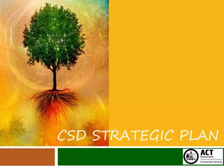 csd strategic plan