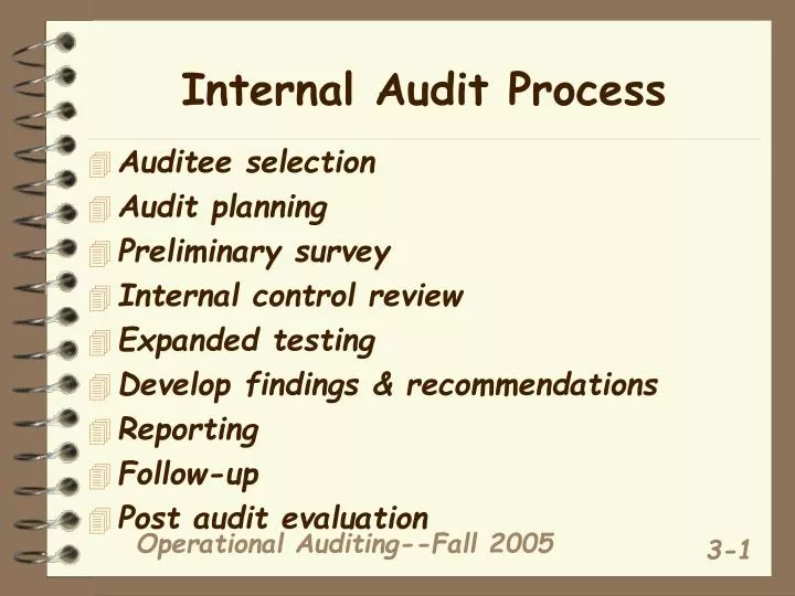 internal audit process