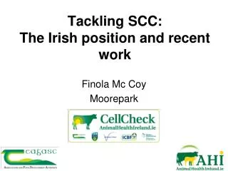 Tackling SCC: The Irish position and recent work