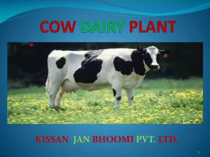 cow dairy plant