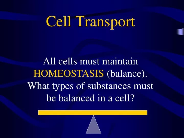 cell transport