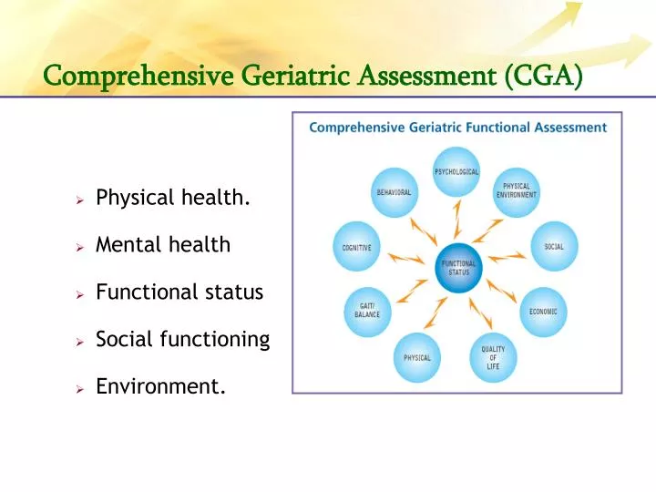 comprehensive geriatric assessment cga
