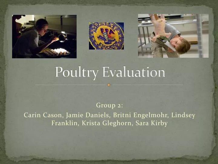 poultry evaluation