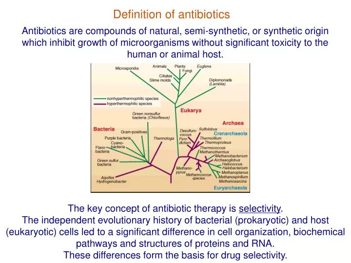 definition of antibiotics