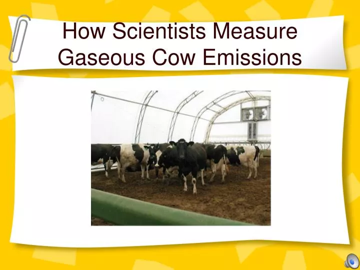 how scientists measure gaseous cow emissions