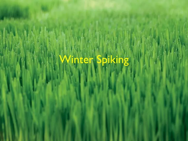 winter spiking