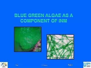 BLUE GREEN ALGAE AS A COMPONENT OF INM