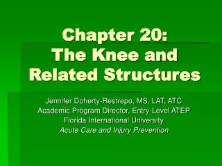 Chapter 20: The Knee and Related Structures