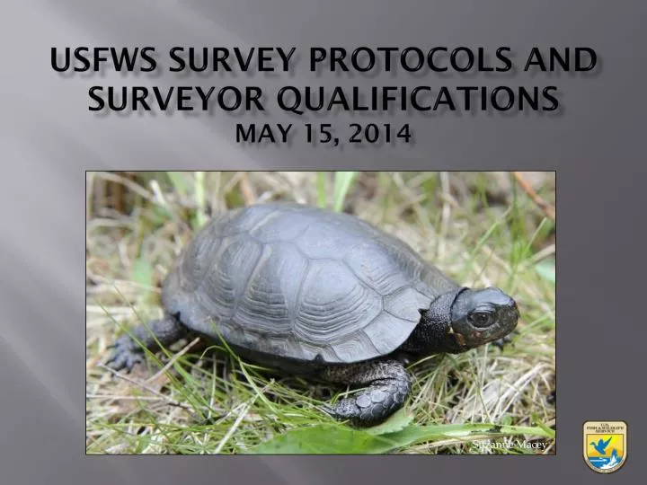 usfws survey protocols and surveyor qualifications may 15 2014