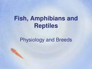Fish, Amphibians and Reptiles