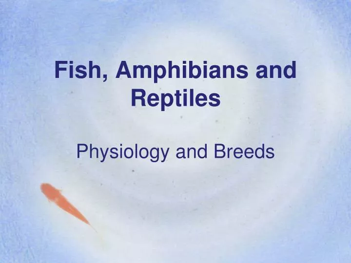 fish amphibians and reptiles