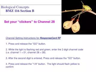 Biological Concepts BMZ 116 Section B