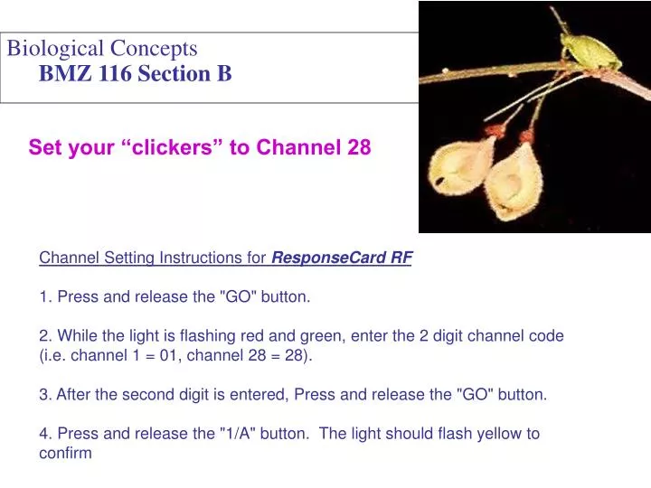 biological concepts bmz 116 section b