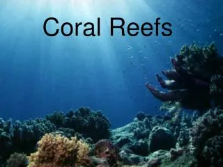 Coral Reefs