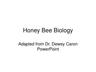 Honey Bee Biology