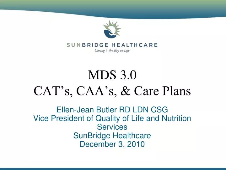 mds 3 0 cat s caa s care plans
