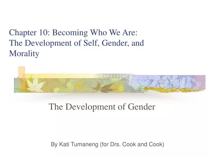 the development of gender