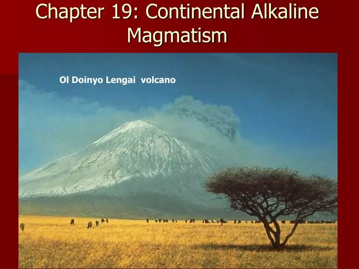chapter 19 continental alkaline magmatism