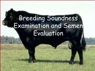 Breeding Soundness Examination and Semen Evaluation