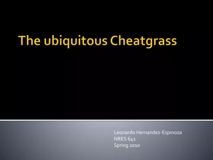 the ubiquitous cheatgrass