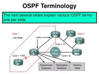 OSPF Terminology