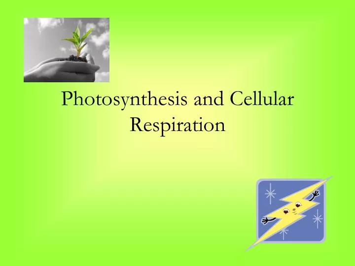 photosynthesis and cellular respiration