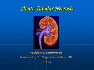 Acute Tubular Necrosis