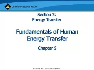 Fundamentals of Human Energy Transfer